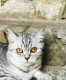 Ирина_И