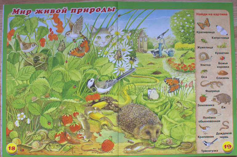 ТЗ
