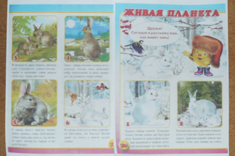ТН Лесные животные. День 4 - лиса и заяц.