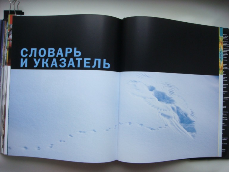 Животные. Большая иллюстрированная энциклопедия
