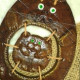ElenVotya