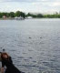 Алена