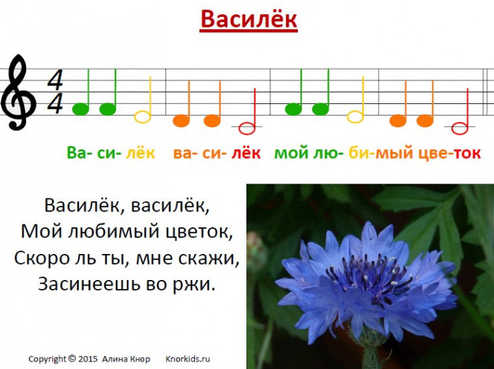 Цветные картинки песня