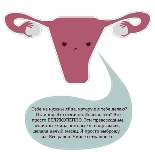 Я, простите, ржу