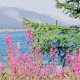 Таня