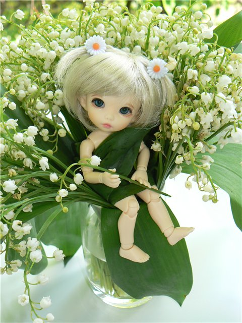 Куклы  BJD