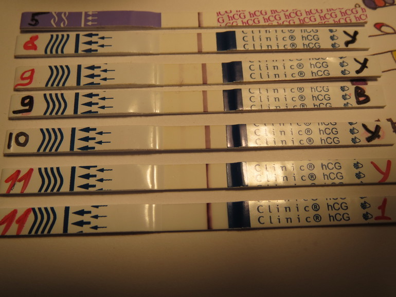 a3c5d4133dc61d15c032fdb69459a1f8.jpg