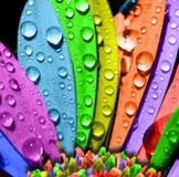 fd07ad7d4a903ca587434f377f99ee3b.jpg