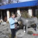 Лариса Чистякова