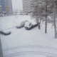 Ди