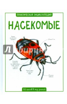 насекомые