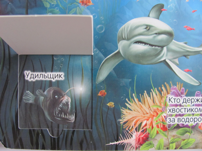 Животные -любимая книжка с окошками, НЕ АРКЕБУС))