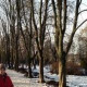 Татьяна Черник