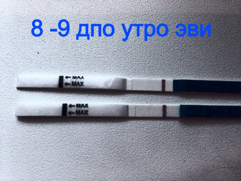 9 дпо тесты утро .