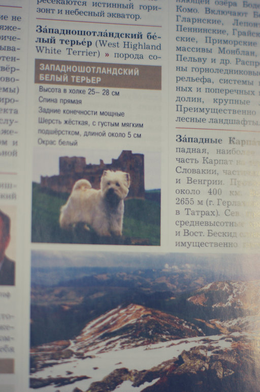 ОЗОН радует!:)