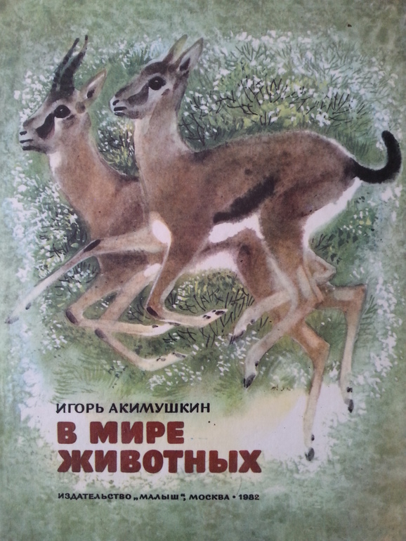 Отыскала у свекров