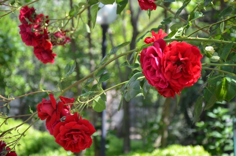 ef4d5407362583fe32a87fc2bc496c60.jpg
