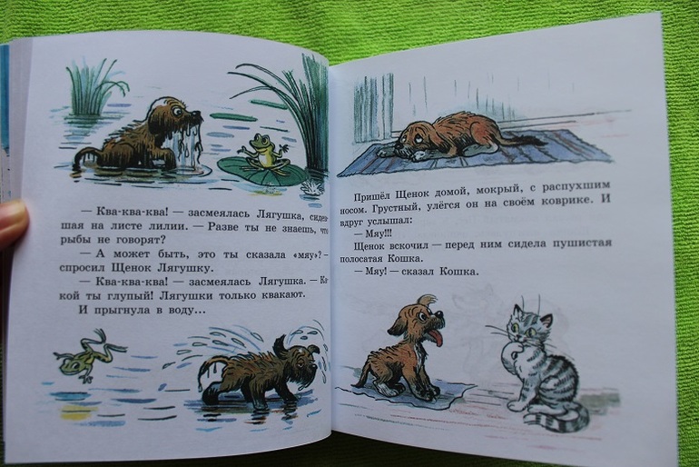Наш Сутеев