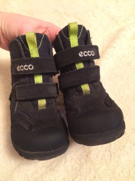 Ботинки для мальчика Ecco 23 размер