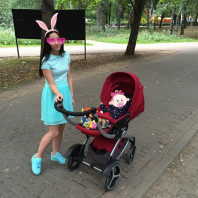 Коляска Chicco Arctic