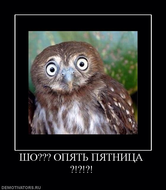 Записала детей в библиотеку!)
