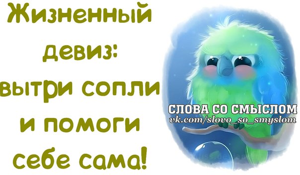 Картинки
