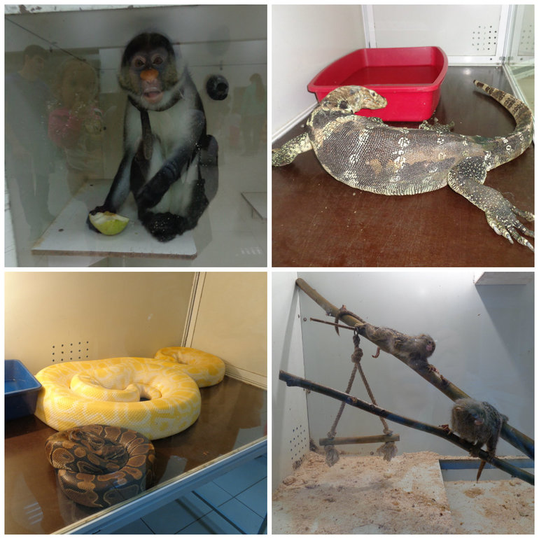 Выставка