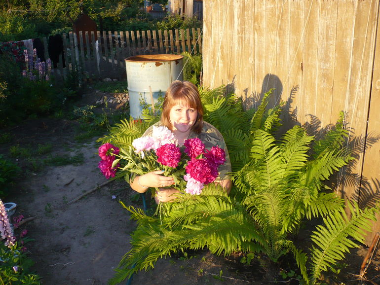 Начало приема ангиовита и не только)))