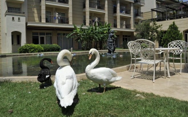 Турция. Белек. Отели Alva Donna Exclusive Hotel & Spa 5*, Maritim Pine Beach Resort 5*
