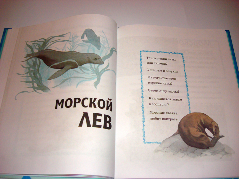 Первый снег...