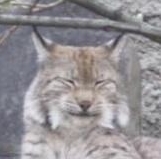 Оксана(УНТЫ)