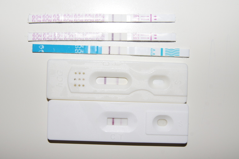 560b808ab6a42a995f2e3b88eaa1e46e.jpg