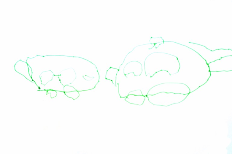 c682860e89b0fe0869c861f817961c5c.jpg