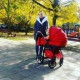 Марина Сенина