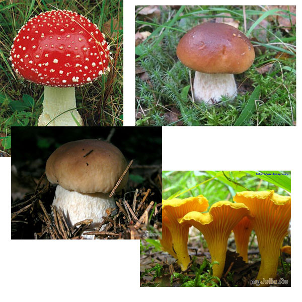 9cc5343a3710dc9cce9c83ae0877fa08.jpg