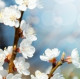 Неля