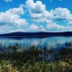 Счастливая мама