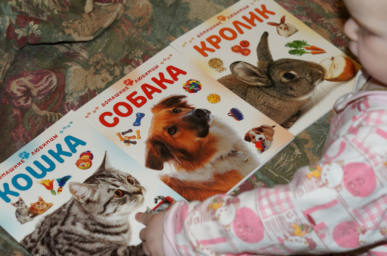 ТН Что такое хорошо и что такое плохо? День .