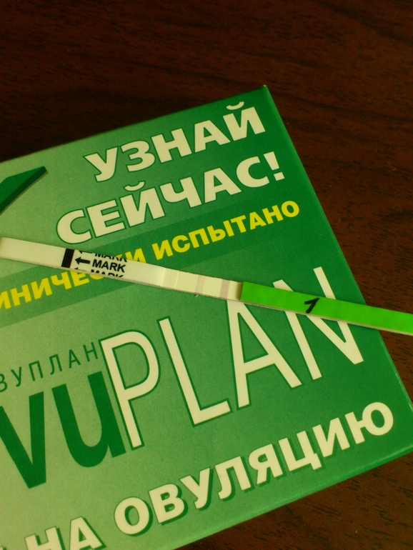 овуляция