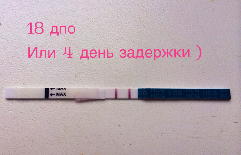18 дпо и тесты .