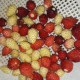 Лера Луговская