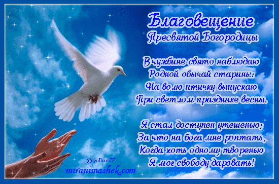 С Благовещинием Друзья!!!