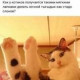 Виолетта Остапенко