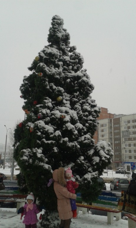 Начало нашей зимы : )