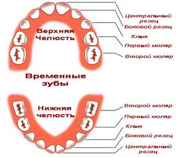 Щели между зубами