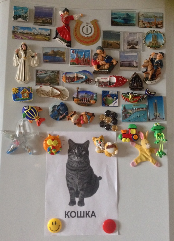 Соленья