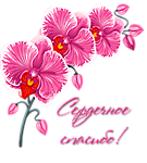 Огромное сердечное спасибо благородной волшебнице Вике и её очаровательным мальчикам!