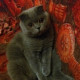 Марина