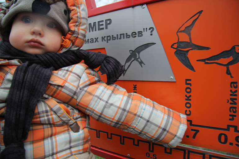В зоопарк с 11-месячным малышом.