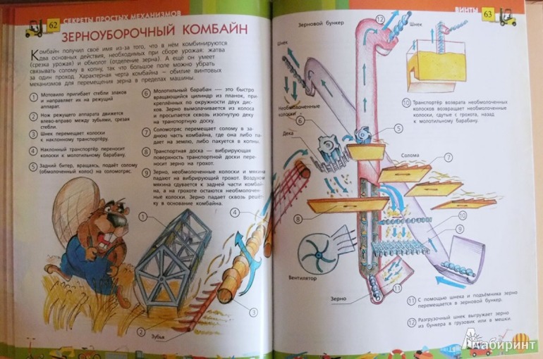 d73d2d9ae274a87a0e69e19ba0eff076.jpg